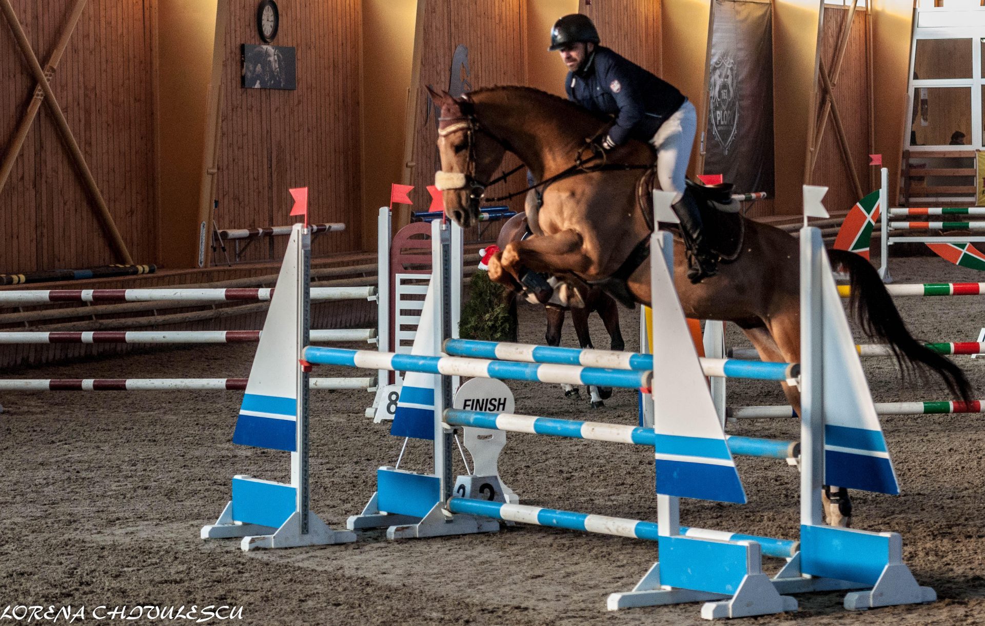 Cupa Napoca Sport Horse Salicea – Cluj